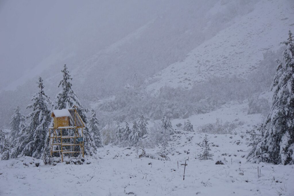 chirbasa campsite covered in snow