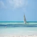 Ultimate zanzibar travel guide