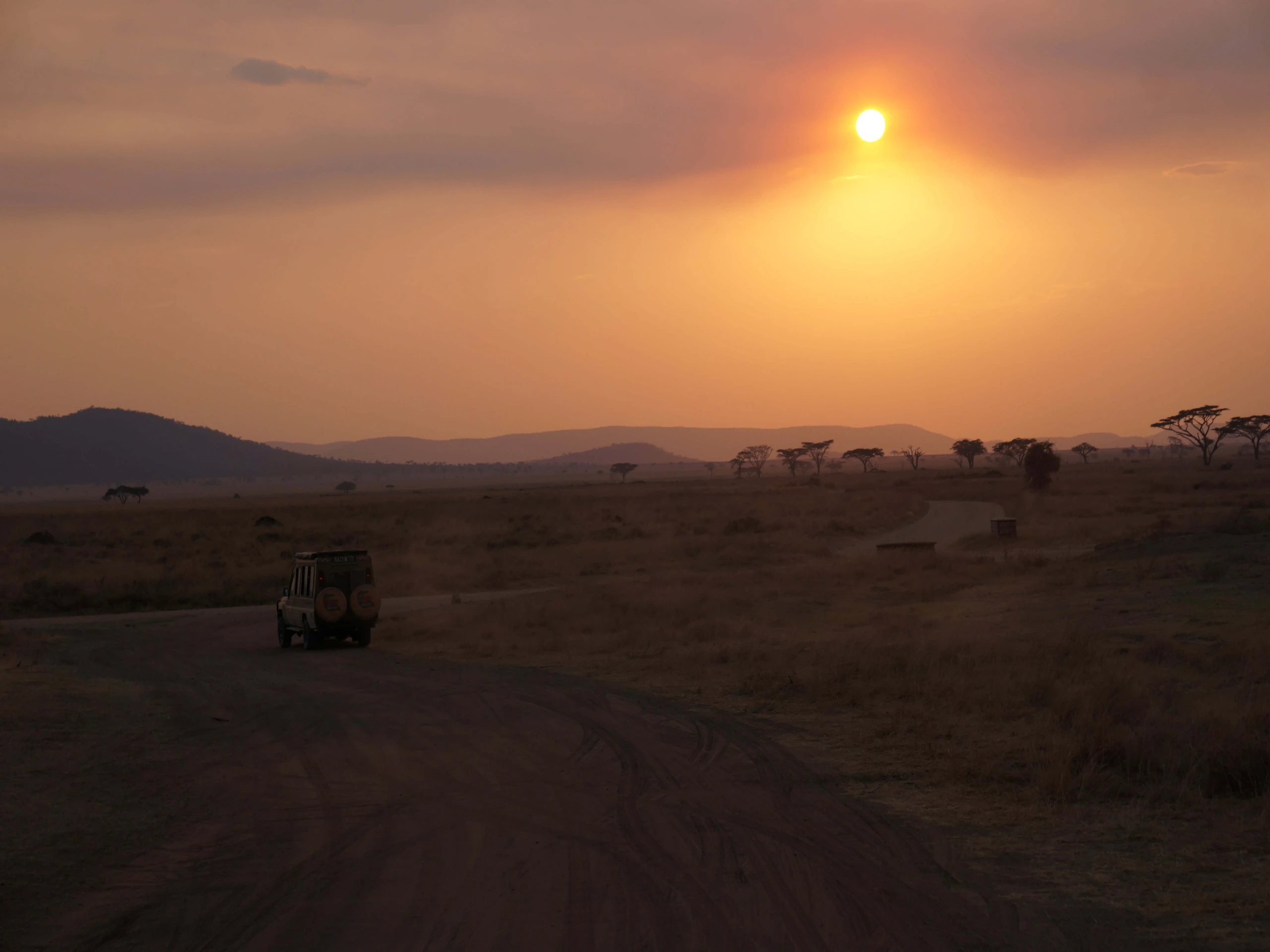 beautiful sunset in Serengeti National Park in Tanzania