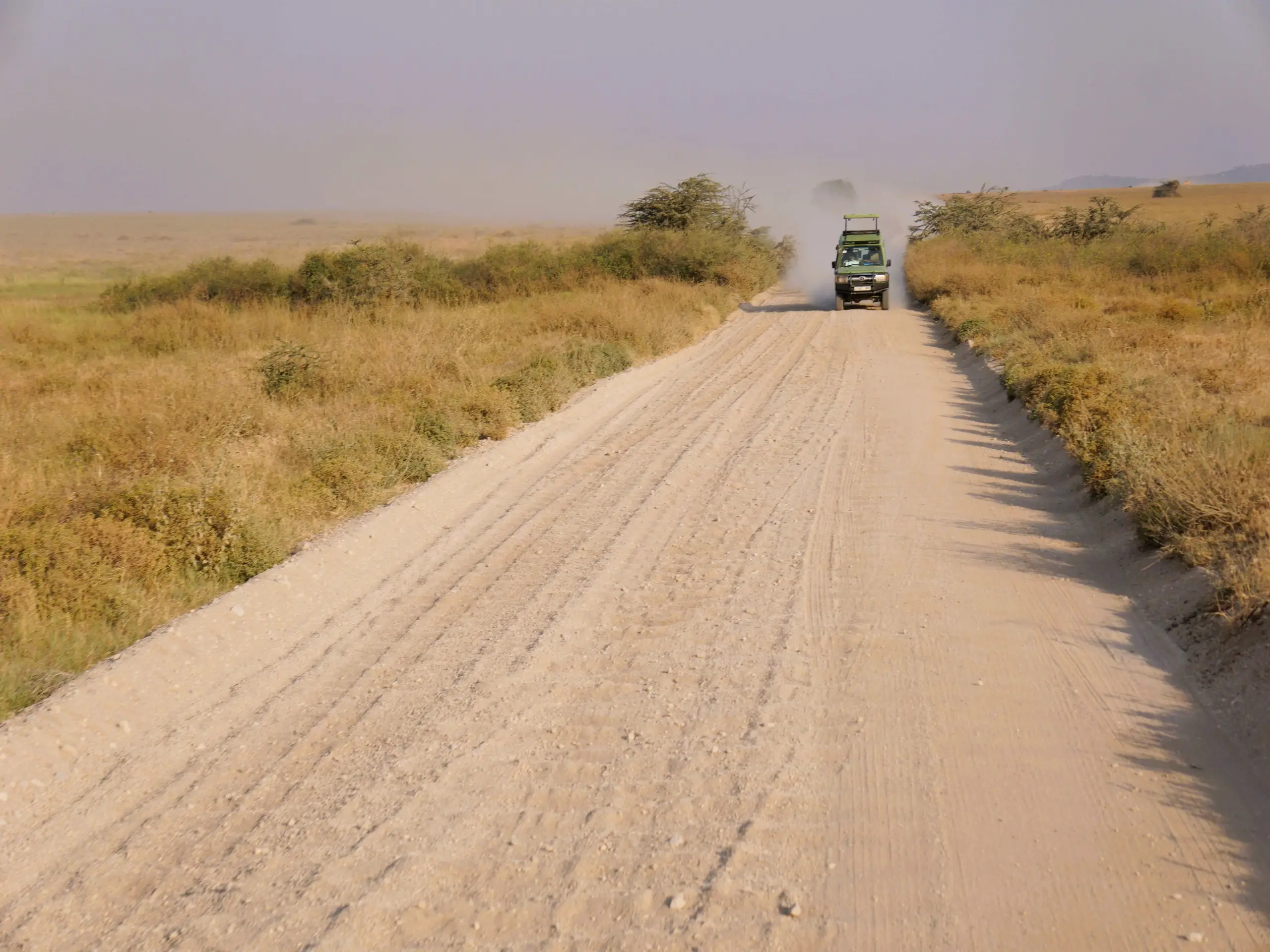 Dusty roads of Serengeti National Park