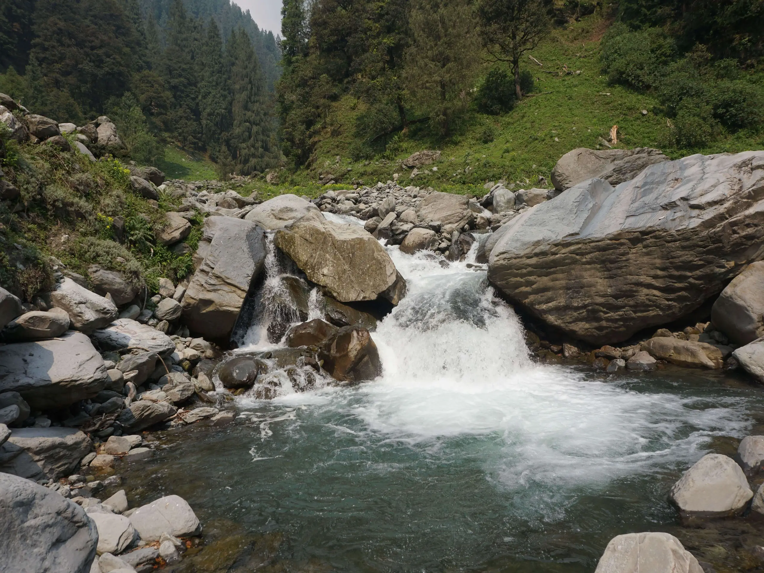 Taking a dip in freezing waters