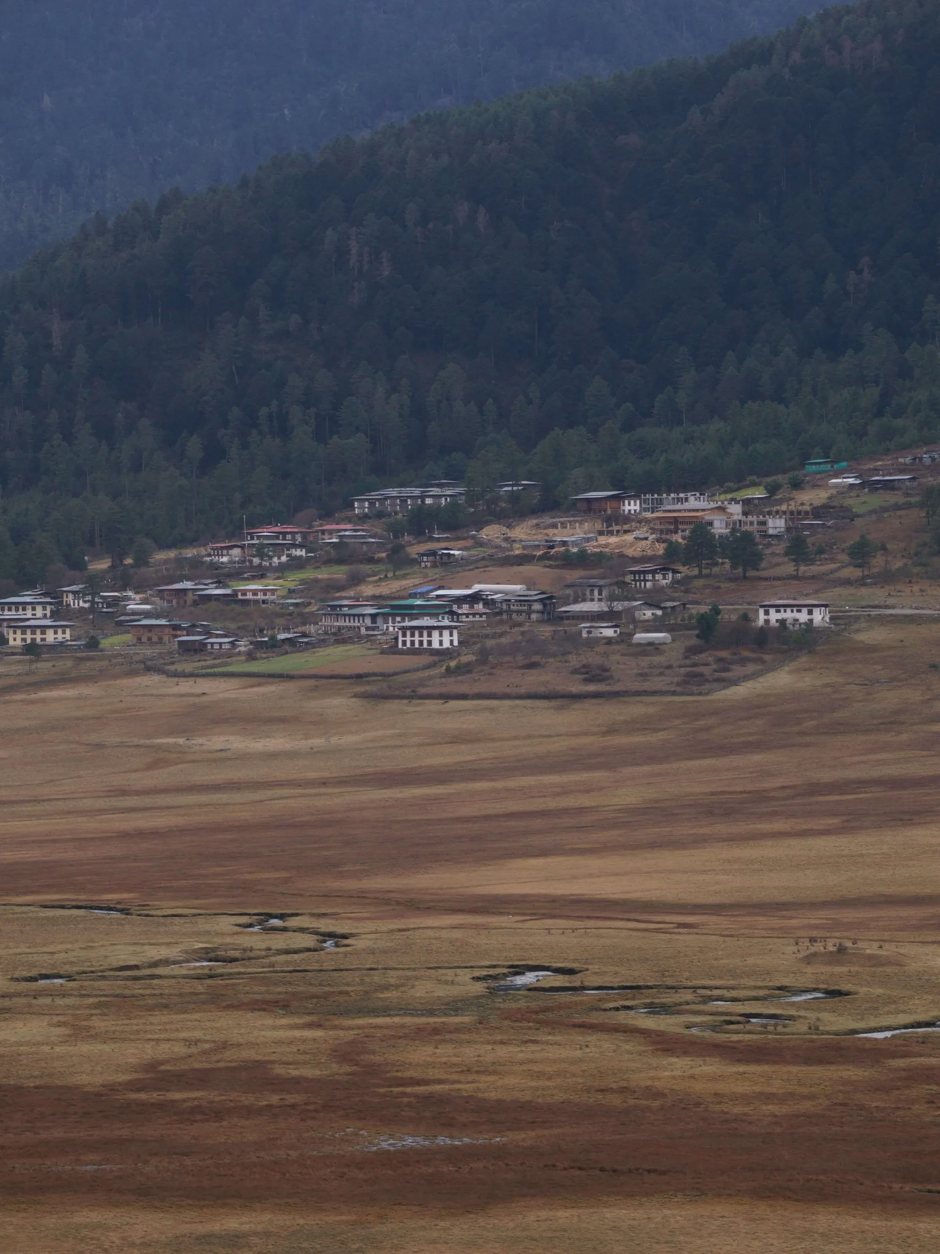 Houses in the beautiful Phobjikha valley