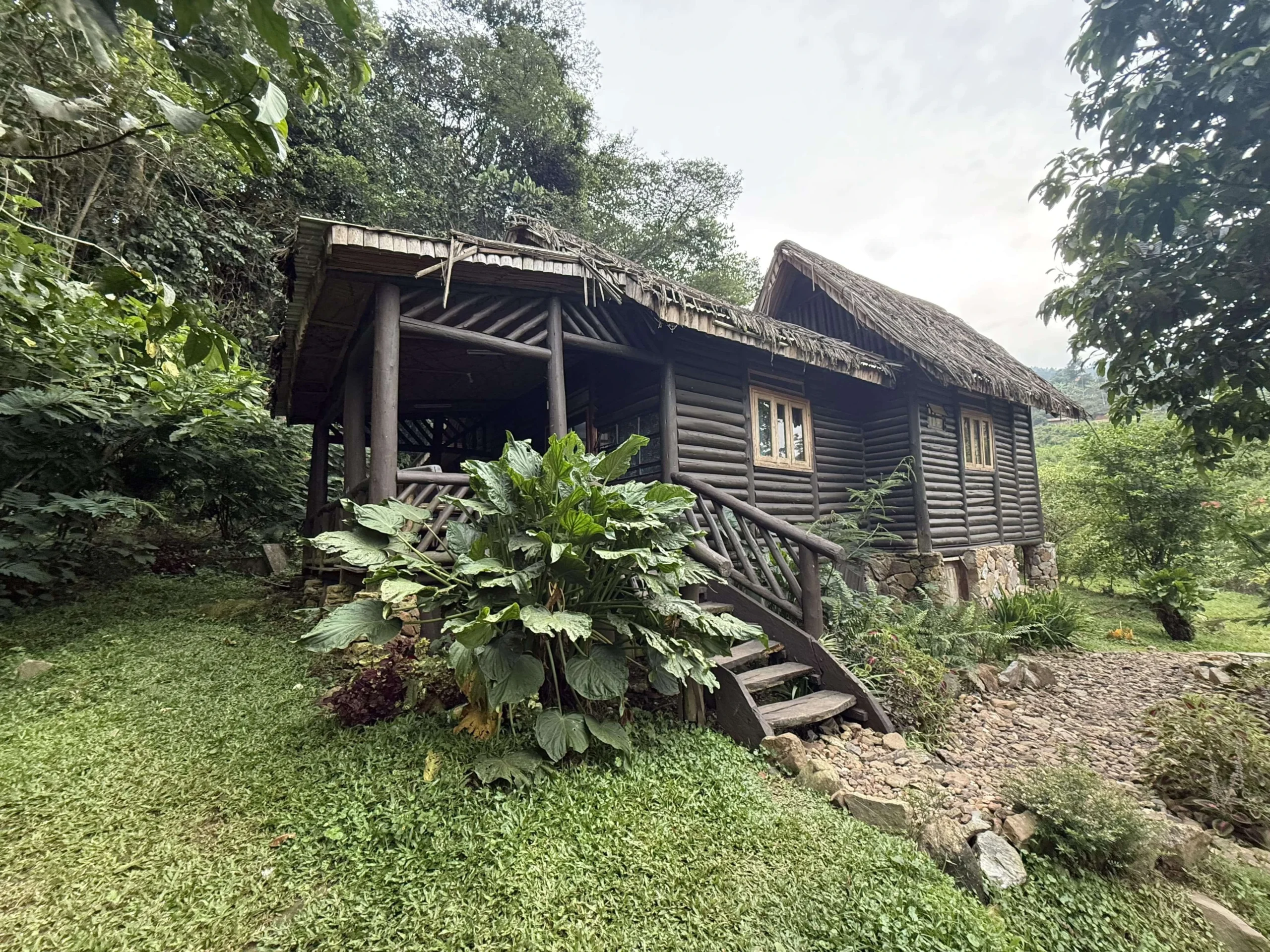 Sahaya Rafiki Homestay in Bwindi