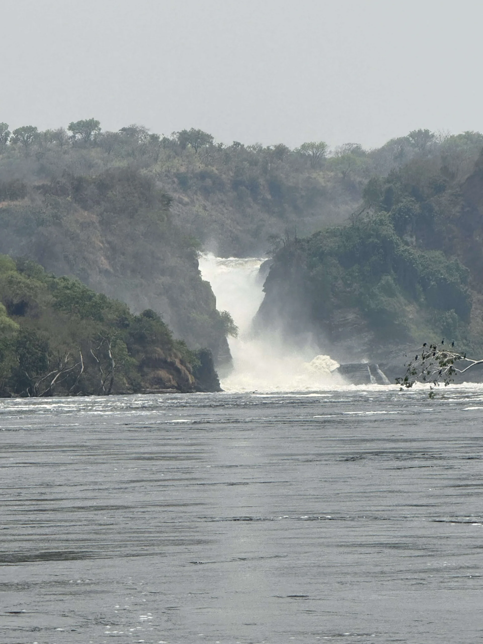 Murchison Falls in Uganda